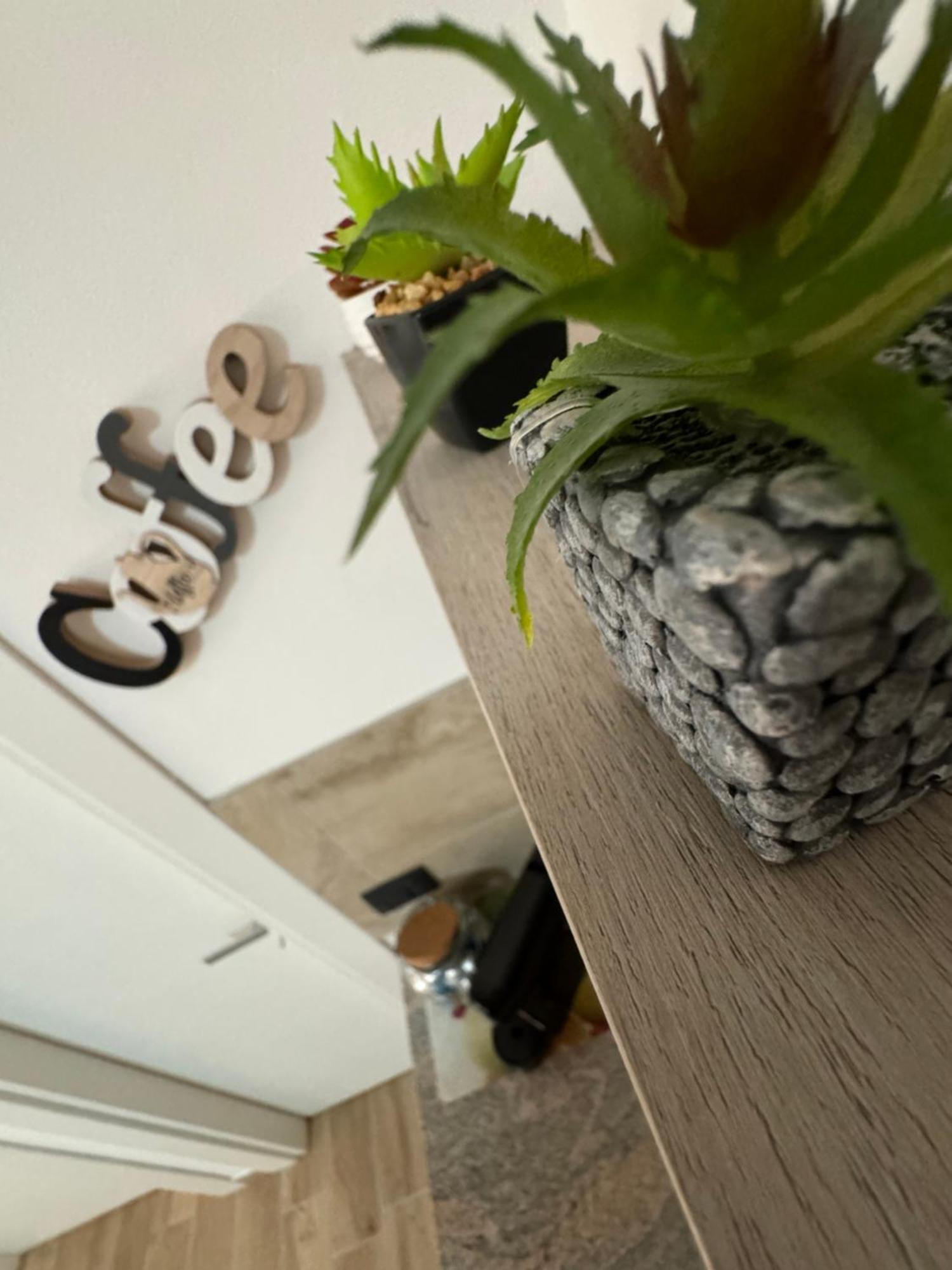 Apartment Mc *